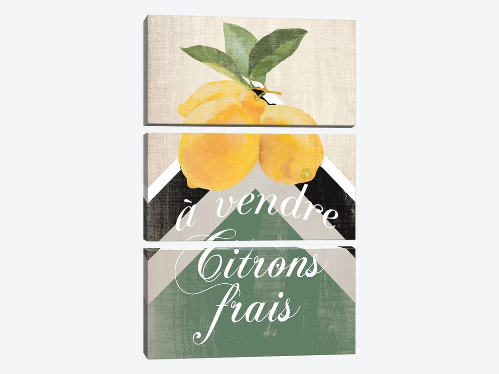 Citron Frais by Lanie Loreth 3-piece Canvas Wall Art