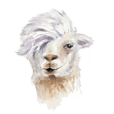 Comb Over Llama by Lanie Loreth metal wall art