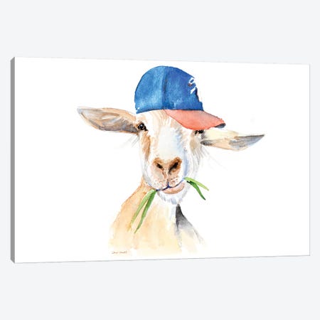 Cool Goat Canvas Print #LNL308} by Lanie Loreth Canvas Wall Art