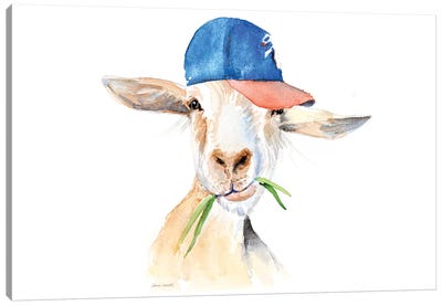 Cool Goat Canvas Art Print - Llama & Alpaca Art