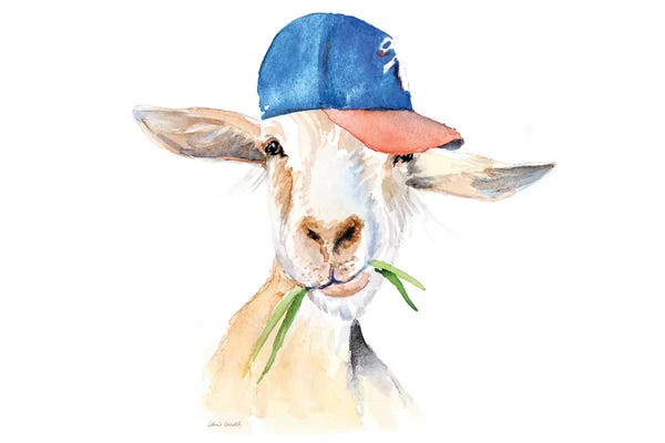 Llamas: Cool Goat by Lanie Loreth