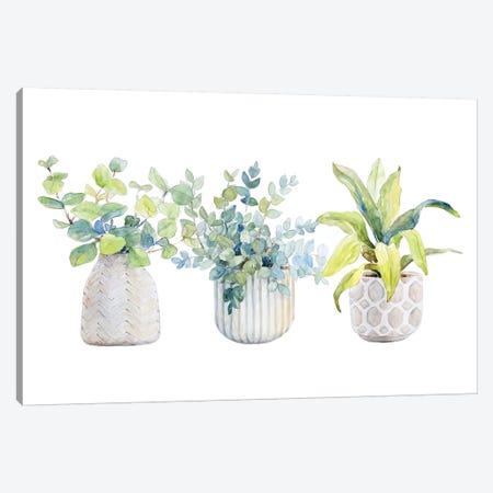 Decorative Plant Arrangement I Canvas Print #LNL312} by Lanie Loreth Canvas Print