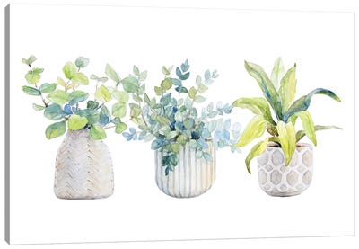 Decorative Plant Arrangement I Canvas Art Print - Gardening Art