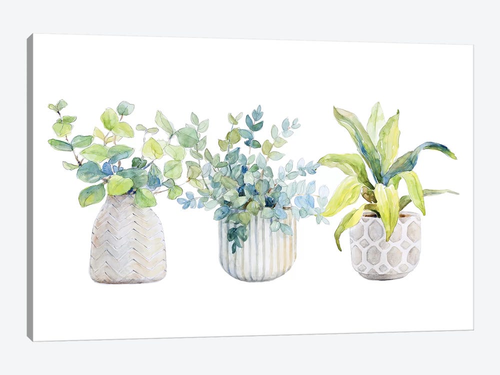 Decorative Plant Arrangement I by Lanie Loreth 1-piece Canvas Print
