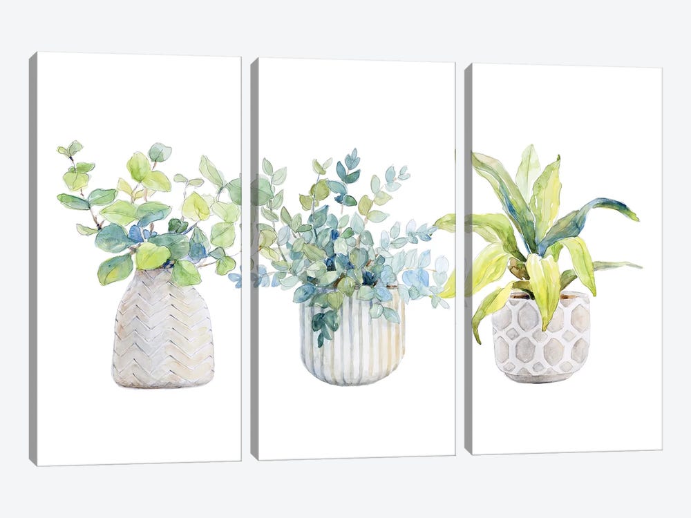 Decorative Plant Arrangement I by Lanie Loreth 3-piece Canvas Print