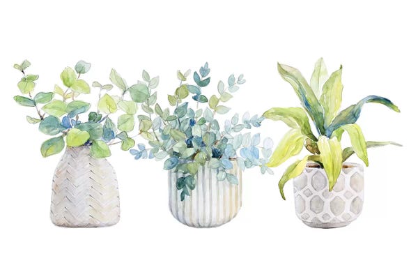 Lanie Loreth: Decorative Plant Arrangement I by Lanie Loreth