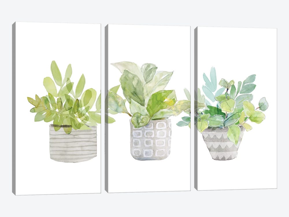 Decorative Plant Arrangement II by Lanie Loreth 3-piece Canvas Artwork
