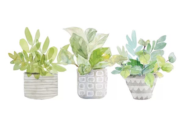 Lanie Loreth: Decorative Plant Arrangement II by Lanie Loreth