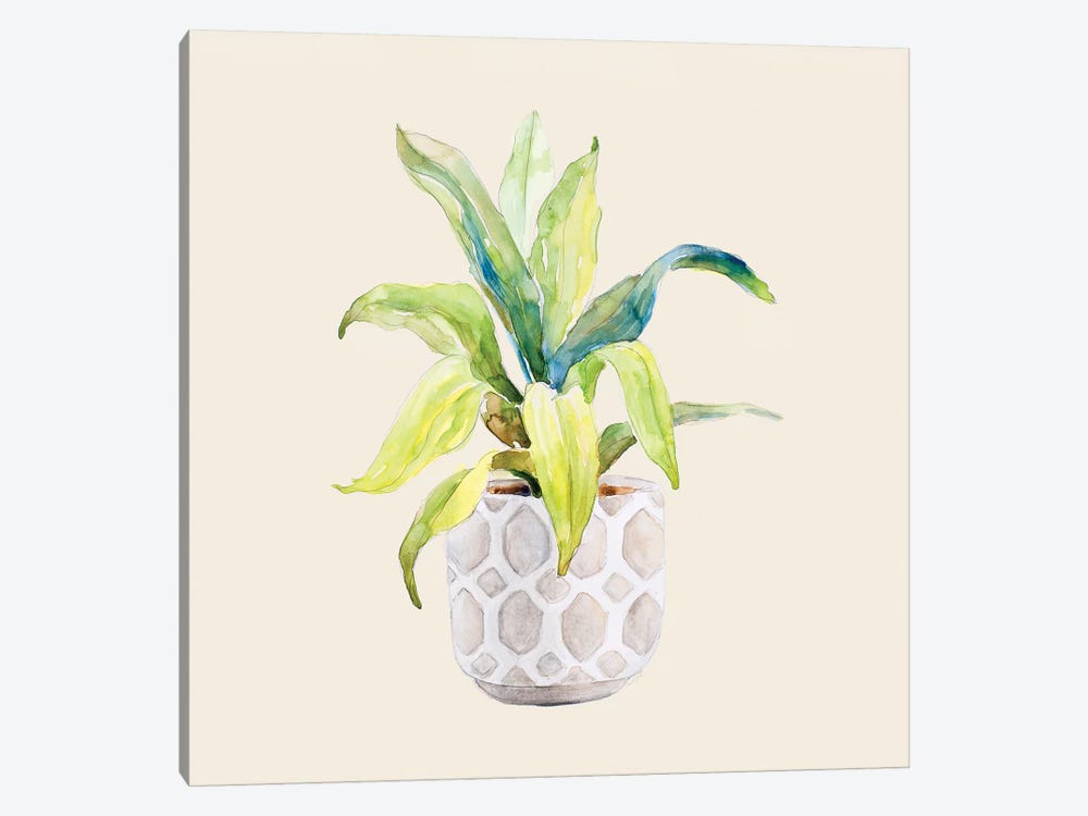 Decorative Potted Plant I by Lanie Loreth 1-piece Art Print