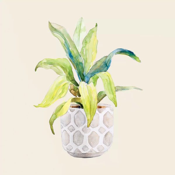 Lanie Loreth: Decorative Potted Plant I by Lanie Loreth