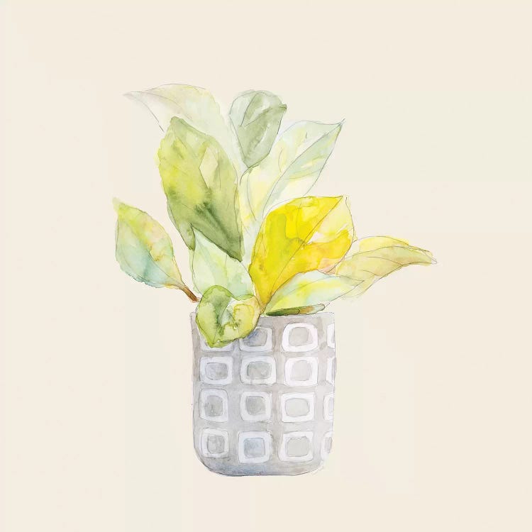 Decorative Potted Plant II