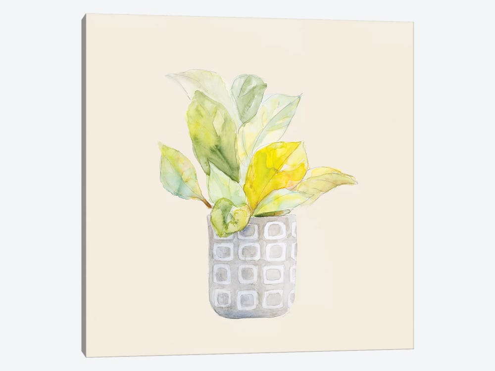 Decorative Potted Plant II by Lanie Loreth 1-piece Canvas Wall Art