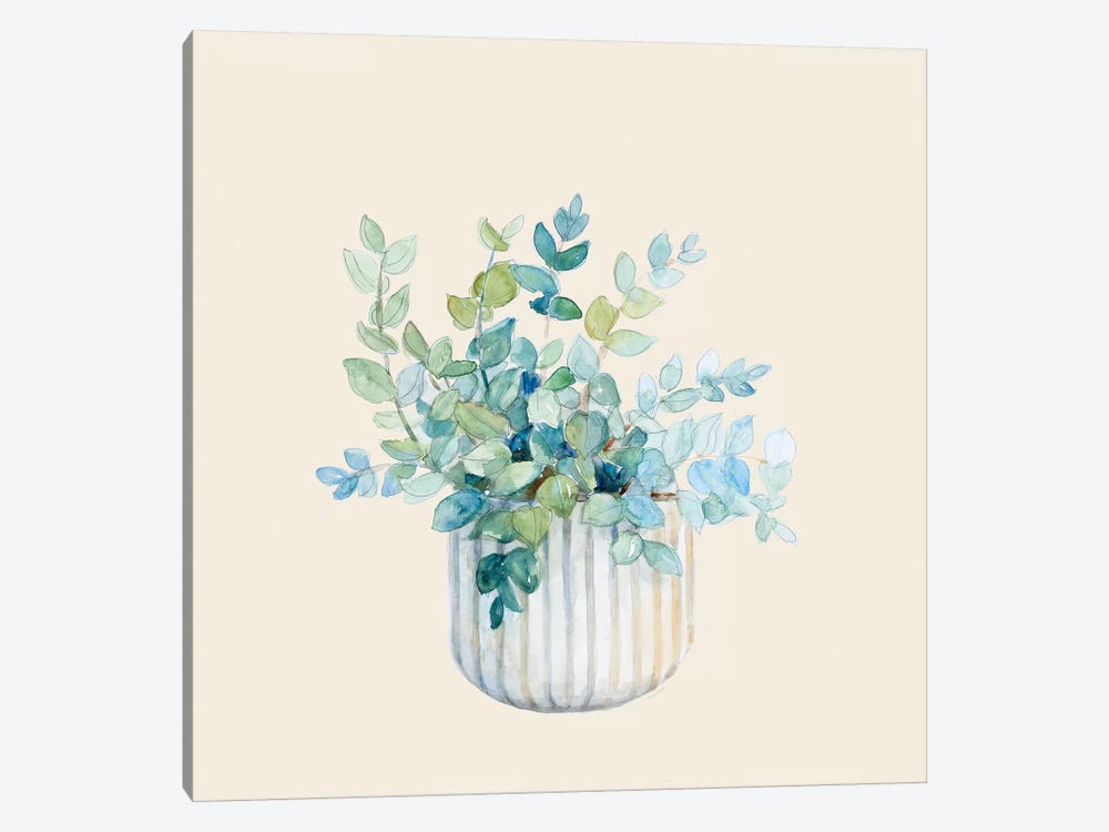 Decorative Potted Plant IV by Lanie Loreth 1-piece Canvas Wall Art