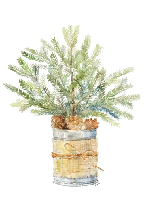 Fir Tree With Burlap