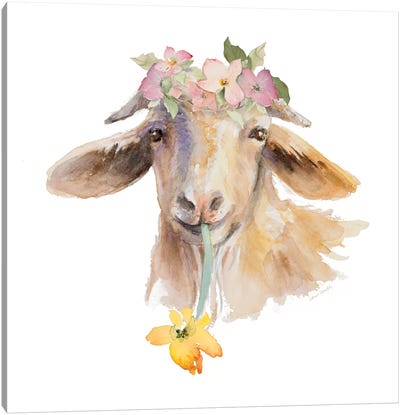 Flower Goat Canvas Art Print - Goat Art