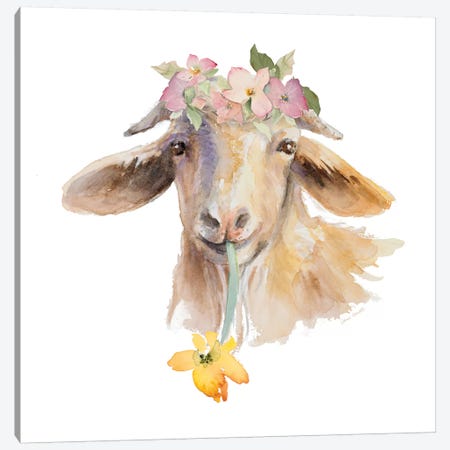 Flower Goat Canvas Print #LNL324} by Lanie Loreth Canvas Art Print