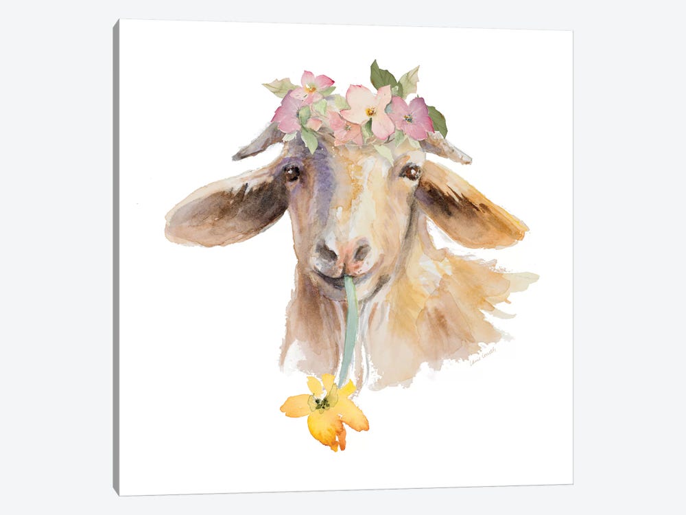 Flower Goat by Lanie Loreth 1-piece Canvas Wall Art