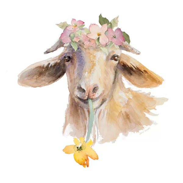 Goats: Flower Goat by Lanie Loreth