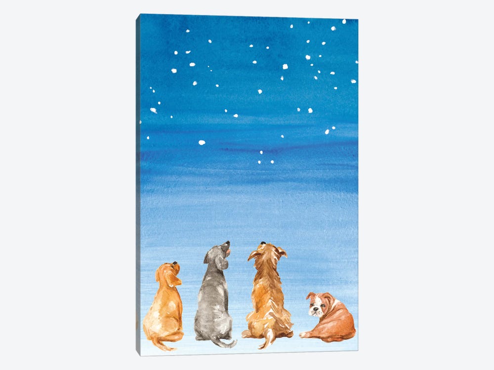 Four Dogs Star Gazing by Lanie Loreth 1-piece Canvas Print