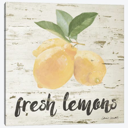 Fresh Lemons Canvas Print #LNL328} by Lanie Loreth Canvas Wall Art