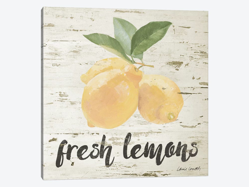 Fresh Lemons by Lanie Loreth 1-piece Canvas Artwork