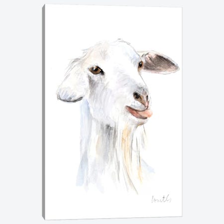Goat I Canvas Print #LNL333} by Lanie Loreth Art Print