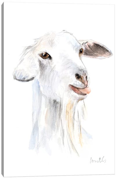 Goat I Canvas Art Print - Goat Art