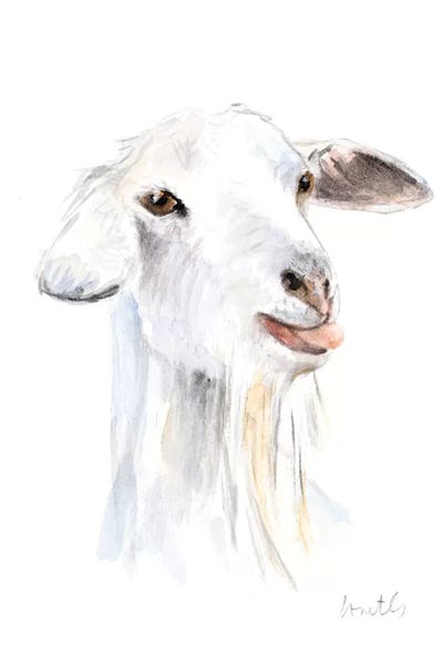 Lanie Loreth: Goat I by Lanie Loreth