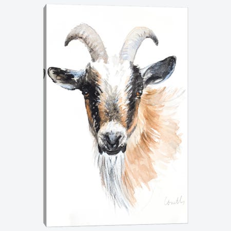 Goat II Canvas Print #LNL334} by Lanie Loreth Canvas Art
