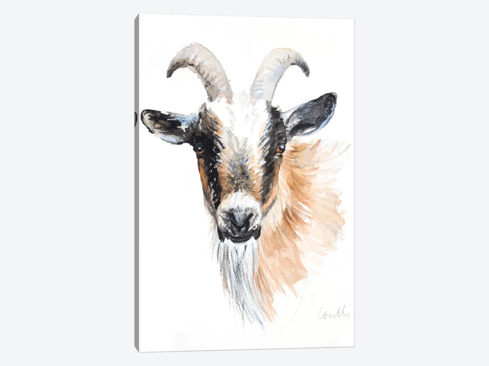 Goat II by Lanie Loreth 1-piece Art Print