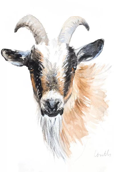 Lanie Loreth: Goat II by Lanie Loreth