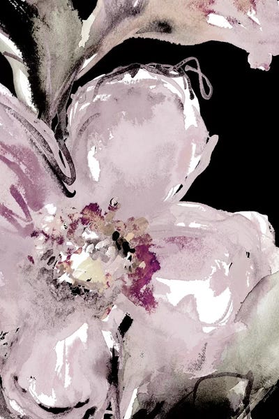 Lanie Loreth: Happy Bloom On Black I by Lanie Loreth