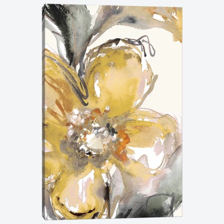 Bright Blooms I Canvas Print #LNL33} by Lanie Loreth Canvas Art