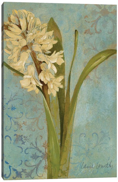 Hyacinth On Teal I Canvas Art Print