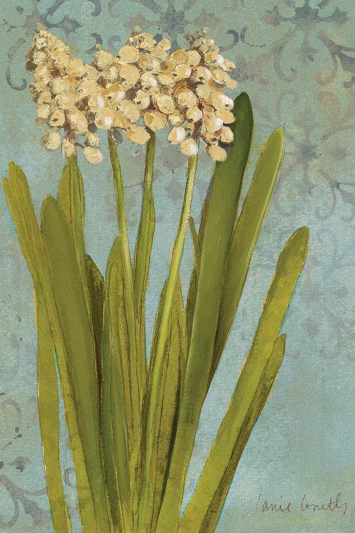 Hyacinth On Teal II by Lanie Loreth wall art
