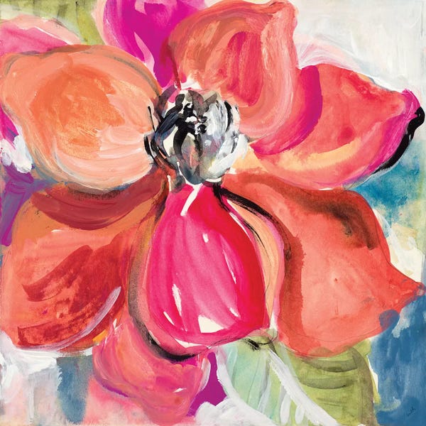 Magnolias: LivIng Coral Magnolia by Lanie Loreth