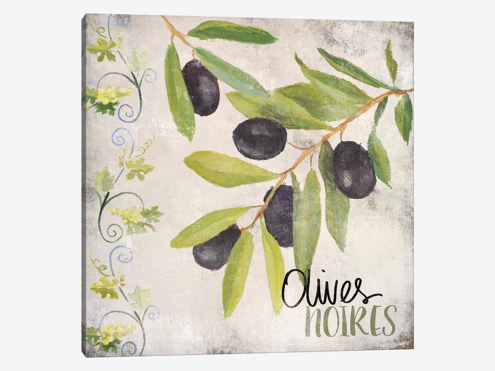 OlIVes Noires by Lanie Loreth 1-piece Canvas Print