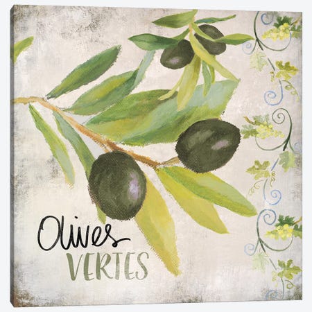 OlIVes Vertes Canvas Print #LNL379} by Lanie Loreth Canvas Art Print