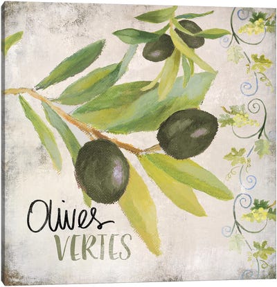 OlIVes Vertes Canvas Art Print - Vegetable Art