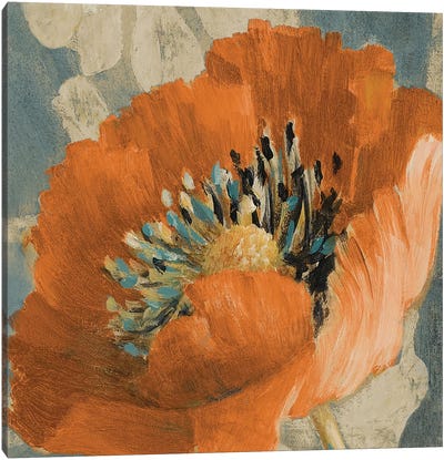 Orange Poppy Canvas Art Print - Flower Art