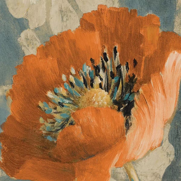 Poppies: Orange Poppy by Lanie Loreth