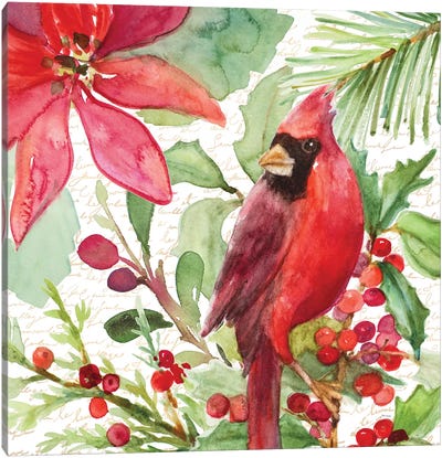 Poinsettia And Cardinal I Canvas Art Print - Cardinal Art