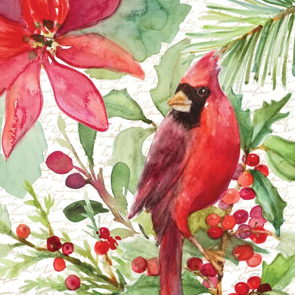 Lanie Loreth: Poinsettia And Cardinal I by Lanie Loreth