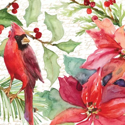 Poinsettia And Cardinal II by Lanie Loreth art print