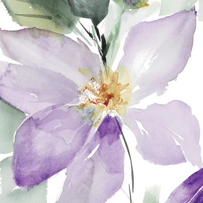 Clematis in Purple Shades I by Lanie Loreth framed wall art