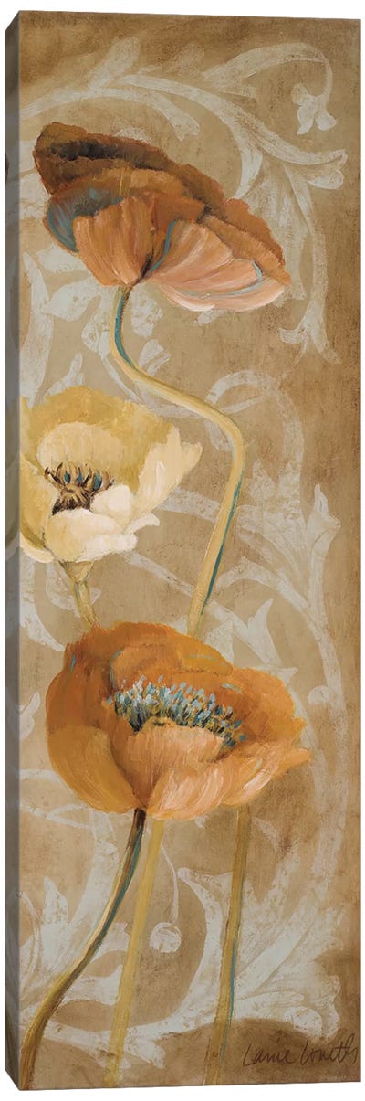 Poppies De Brun I Canvas Art Print - Lanie Loreth
