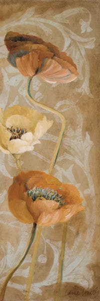 Poppies: Poppies De Brun I by Lanie Loreth