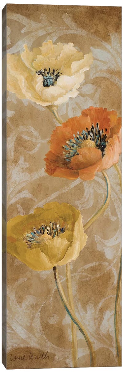 Poppies De Brun II Canvas Art Print - Lanie Loreth