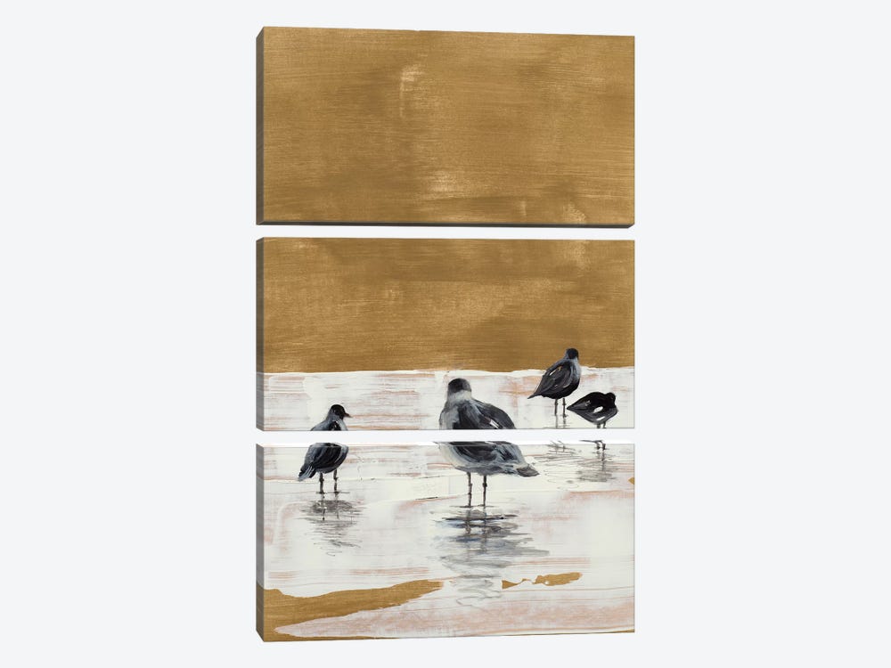Seagulls Chillin' by Lanie Loreth 3-piece Canvas Artwork