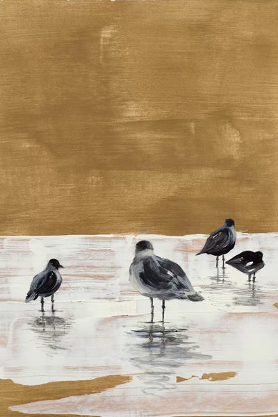 Lanie Loreth: Seagulls Chillin' by Lanie Loreth